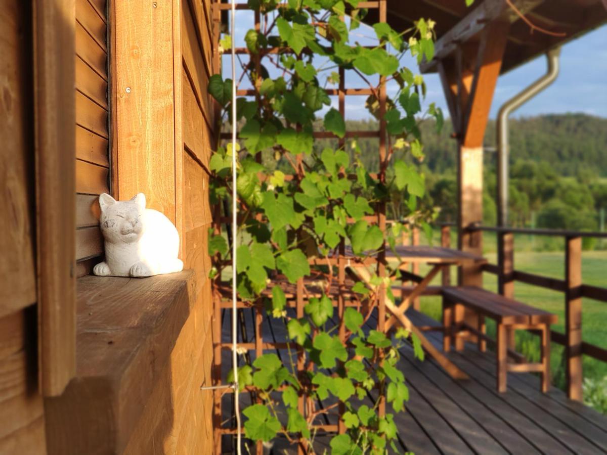 Domki Sowi Kamien Lomnica  Exteriér fotografie