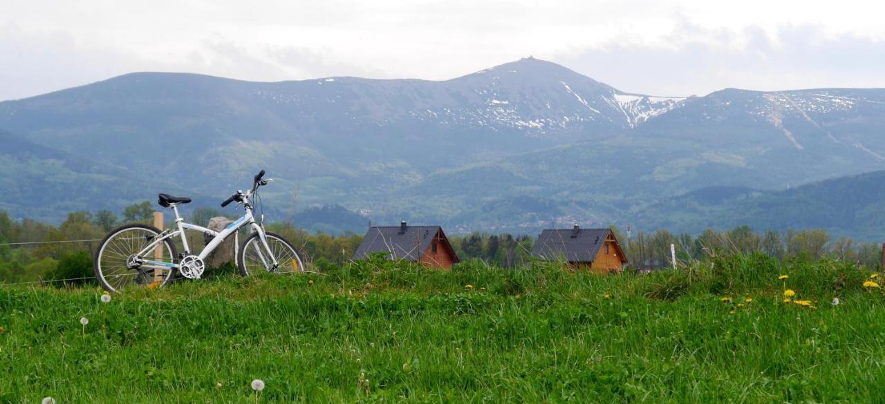 Domki Sowi Kamien Lomnica  Exteriér fotografie