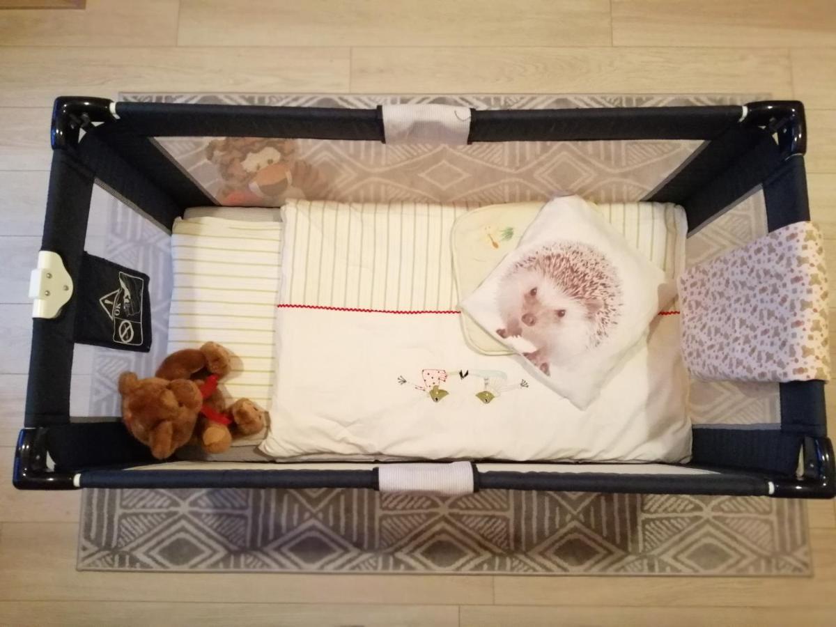 Domki Sowi Kamien Lomnica  Exteriér fotografie