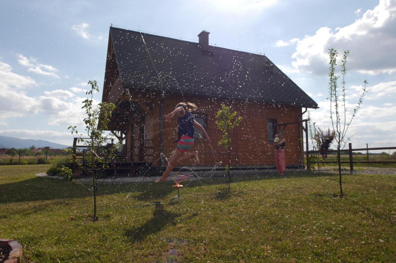 Domki Sowi Kamien Lomnica  Exteriér fotografie