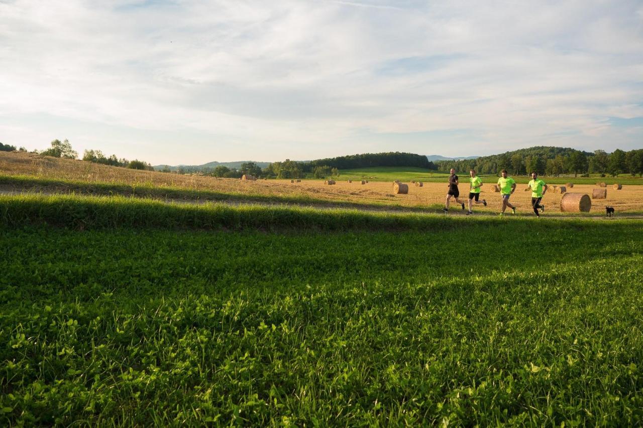Domki Sowi Kamien Lomnica  Exteriér fotografie