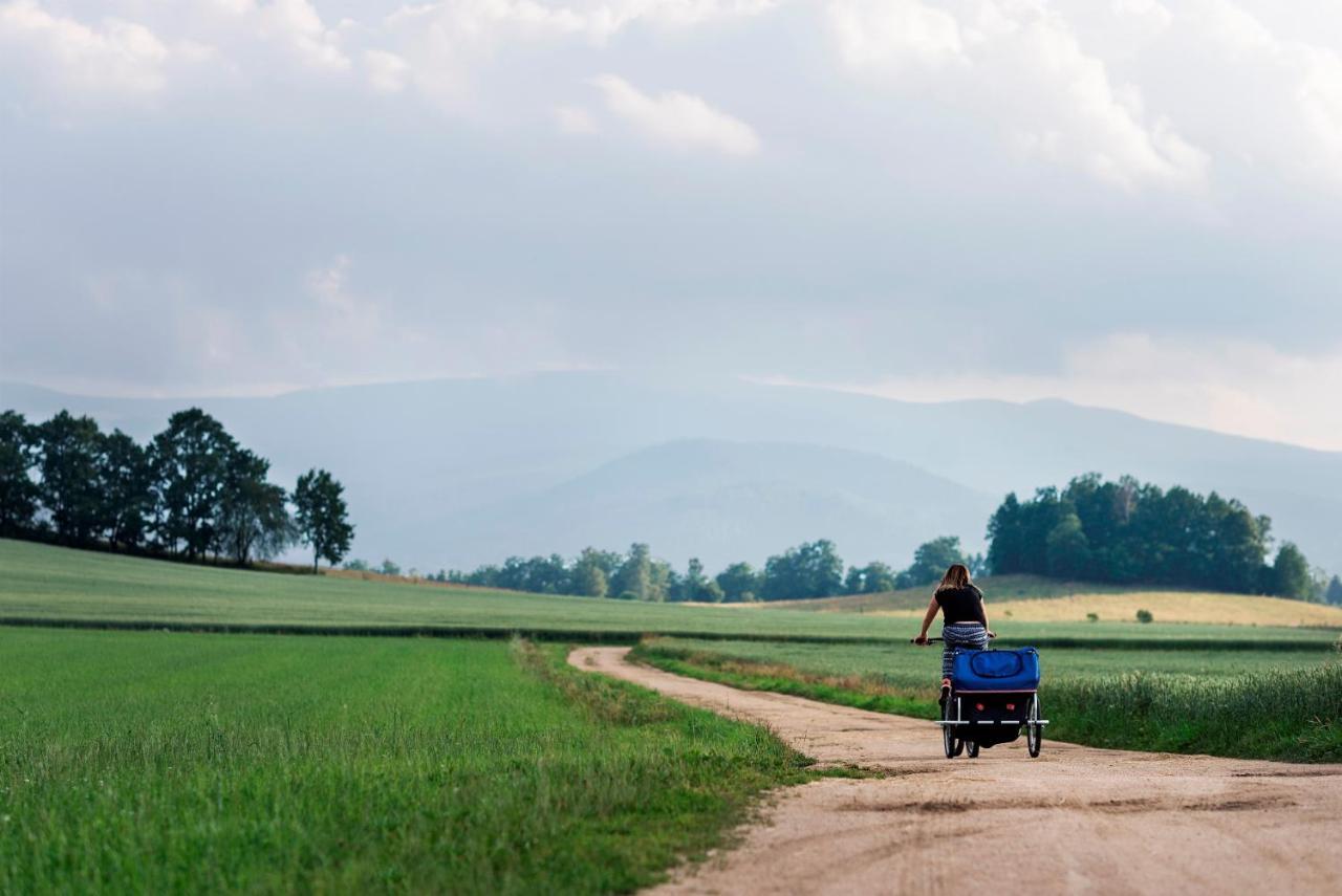 Domki Sowi Kamien Lomnica  Exteriér fotografie
