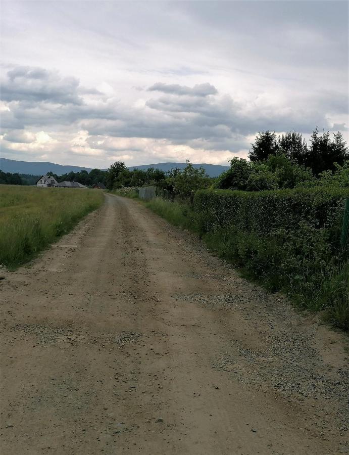 Domki Sowi Kamien Lomnica  Exteriér fotografie
