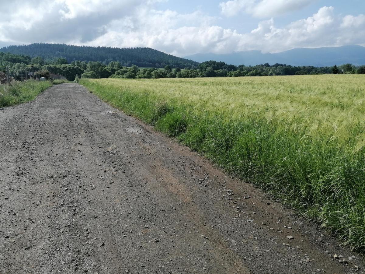 Domki Sowi Kamien Lomnica  Exteriér fotografie